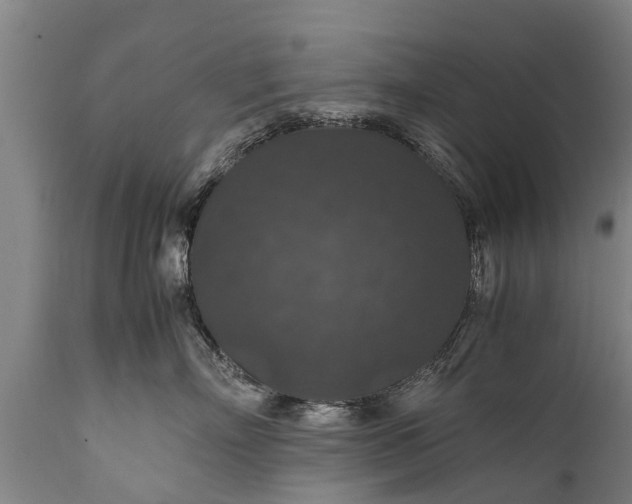 X0000112010718200908171443