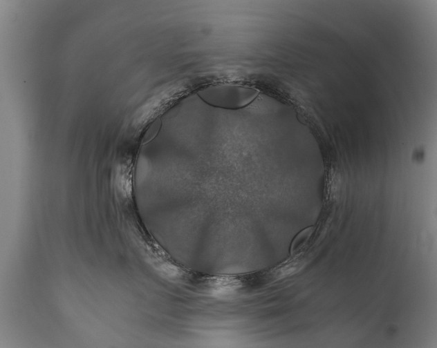 X0000112010719200908171443