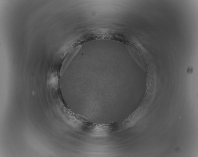 X0000112010720200908171443