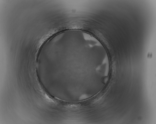 X0000112010721200908171442