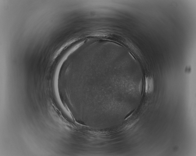 X0000112010723200908171442