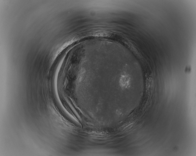 X0000112010727200908171442