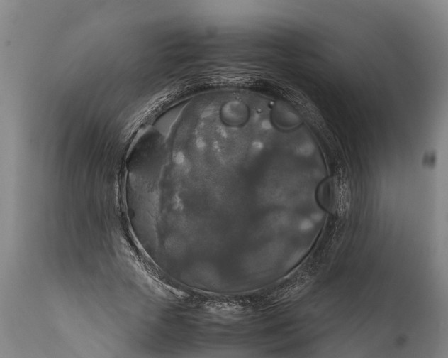 X0000112010729200908171442