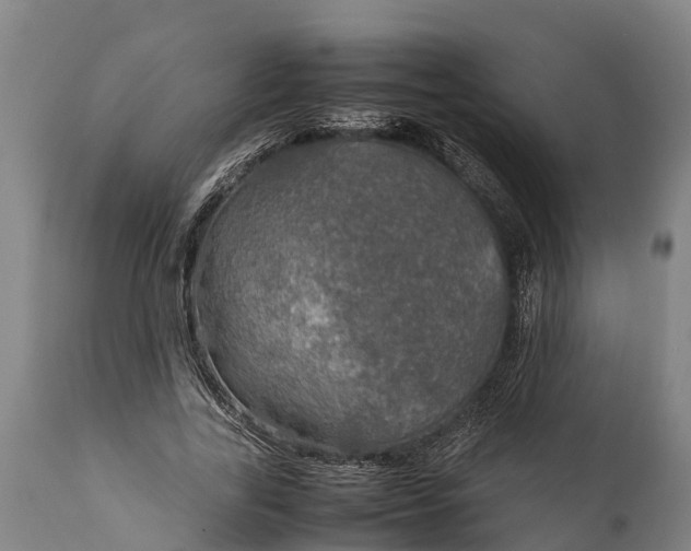 X0000112010731200908171442