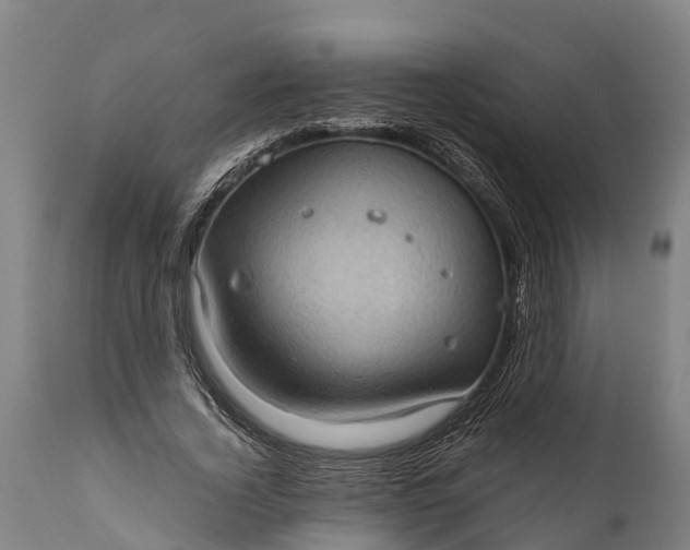 X0000112010732200908171442