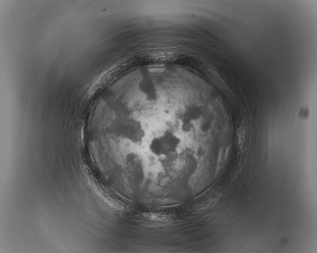 X0000112010733200908171442