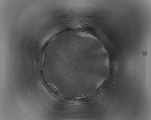 X0000112010735200908171442