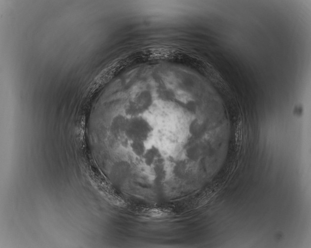 X0000112010737200908171442