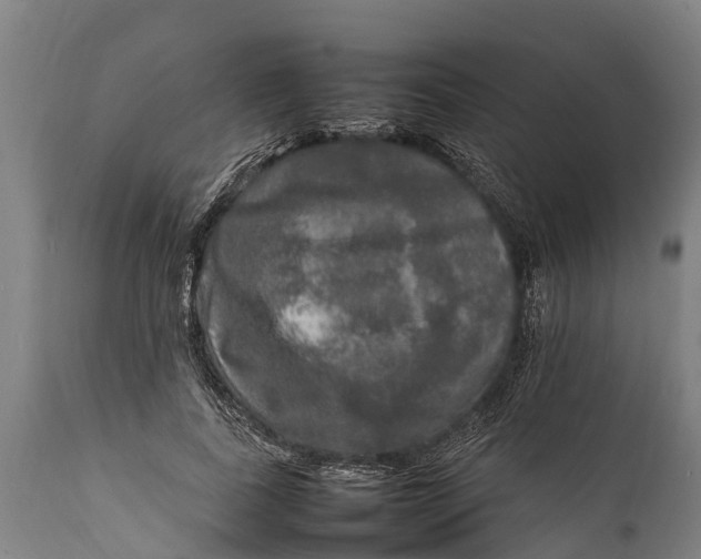 X0000112010739200908171442