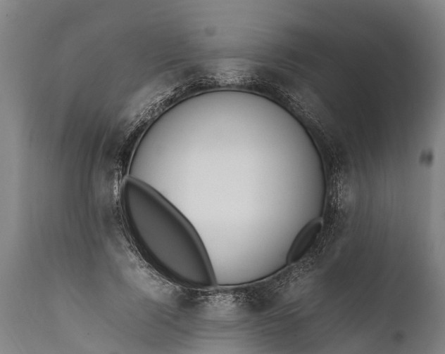 X0000112010740200908171442