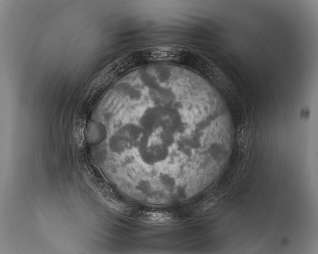 X0000112010741200908171442