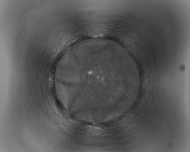 X0000112010743200908171442