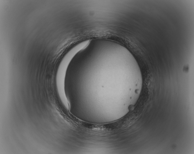 X0000112010744200908171442