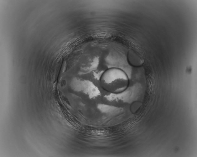 X0000112010745200908171443