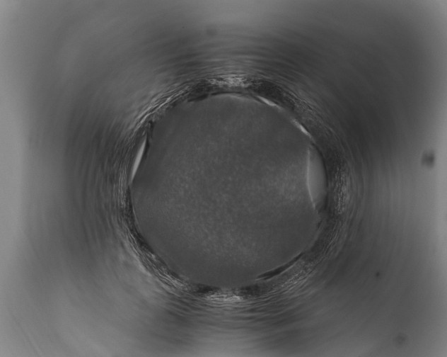 X0000112010747200908171443