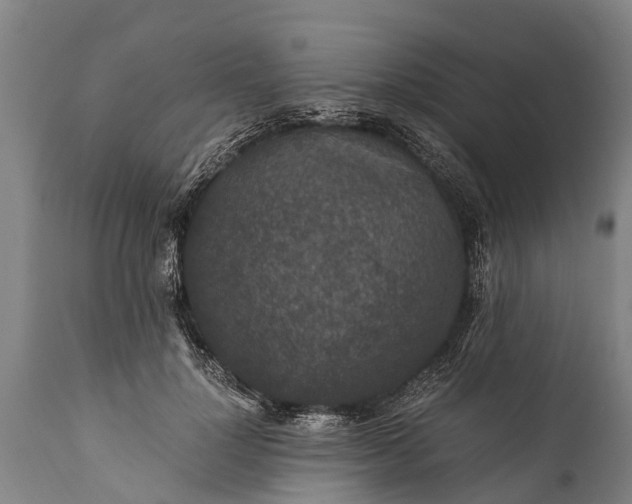 X0000112010748200908171443