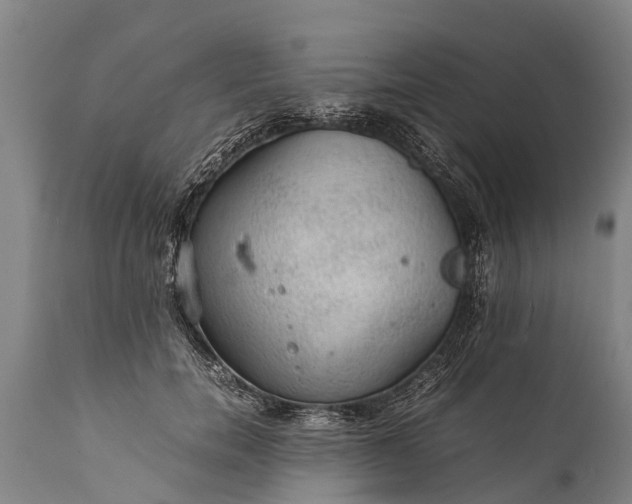 X0000112010750200908171443