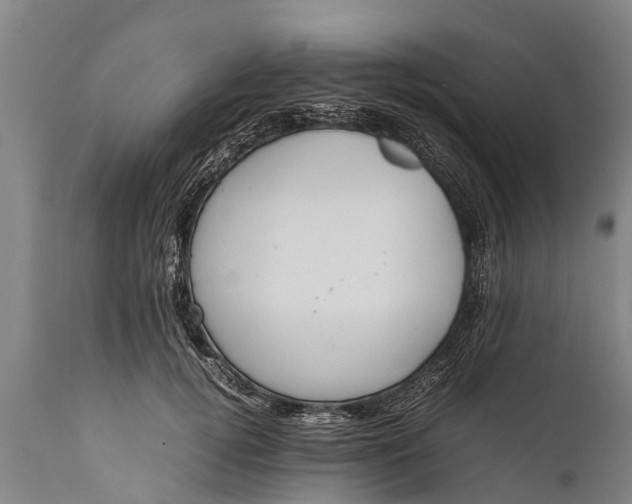 X0000112010752200908171443