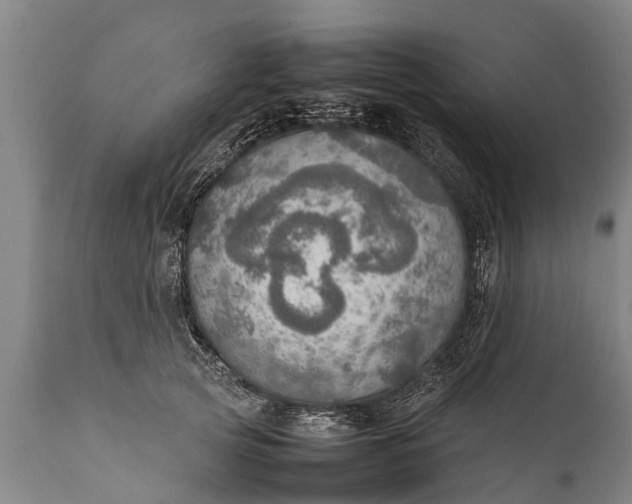 X0000112010753200908171443