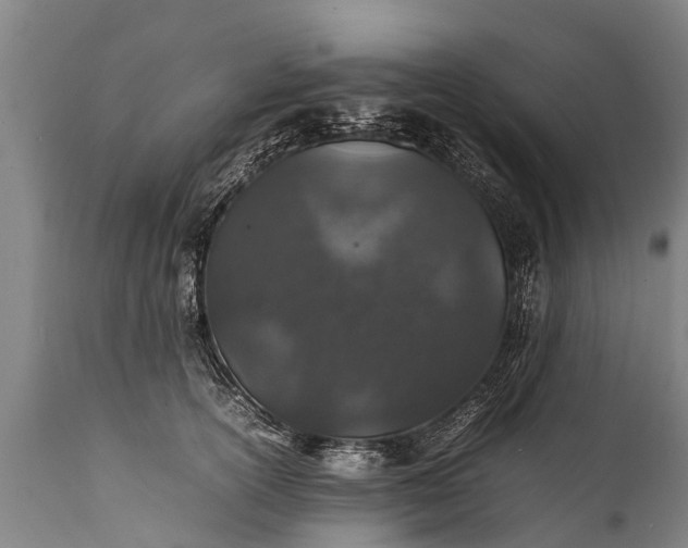 X0000112010754200908171443