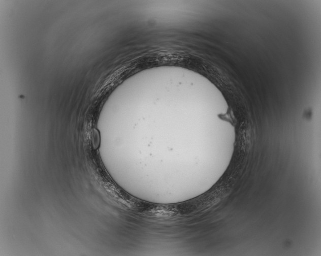 X0000112010756200908171443