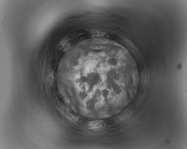 X0000112010761200908171443