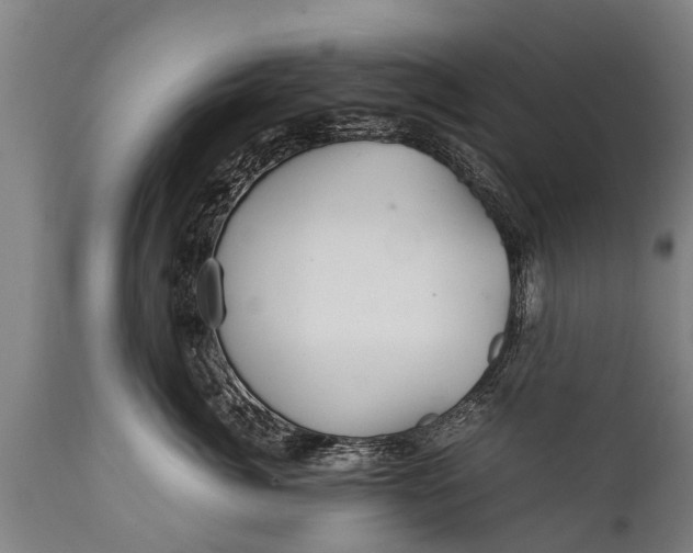 X0000112010764200908171443