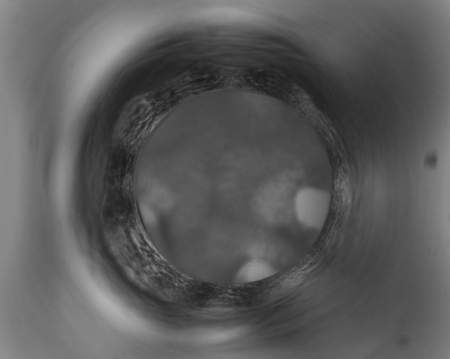 X0000112010765200908171443