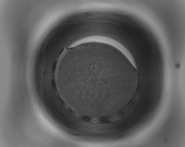 X0000112010766200908171443