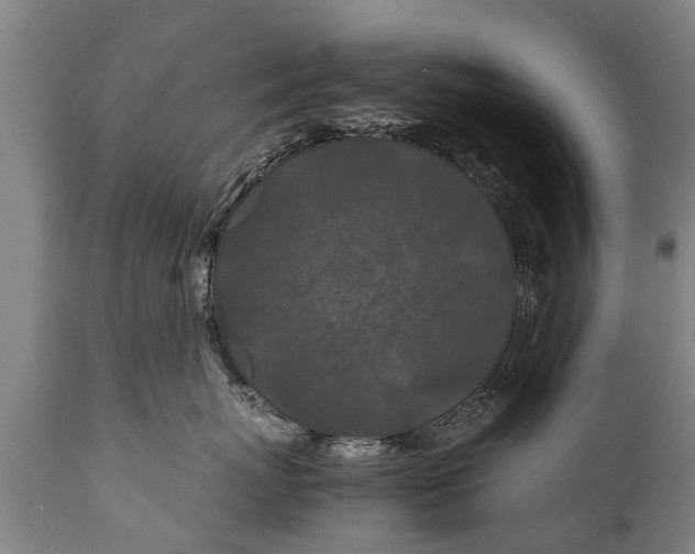 X0000112010767200908171443