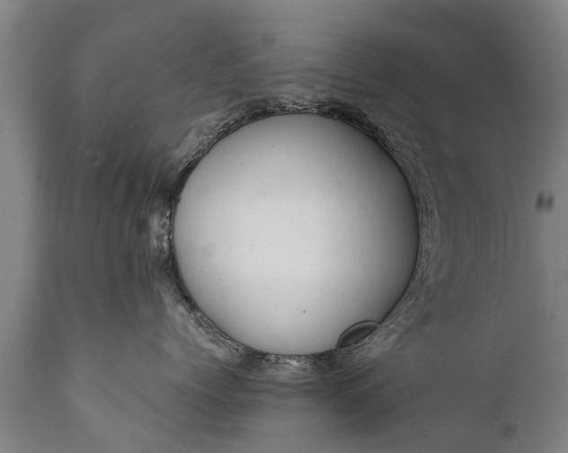 X0000112010768200908171443