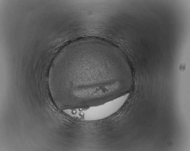 X0000112010769200908171442