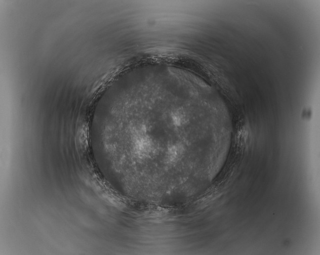 X0000112010772200908171442