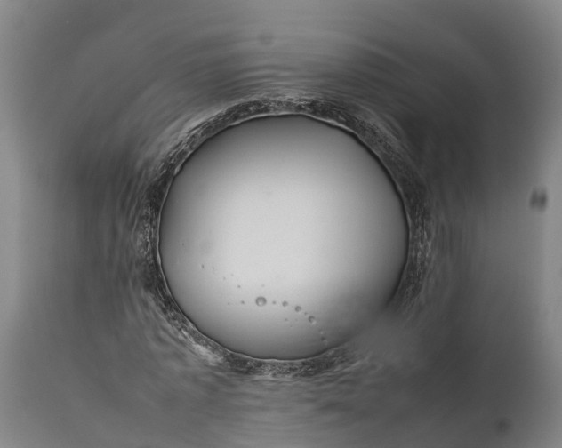 X0000112010773200908171442