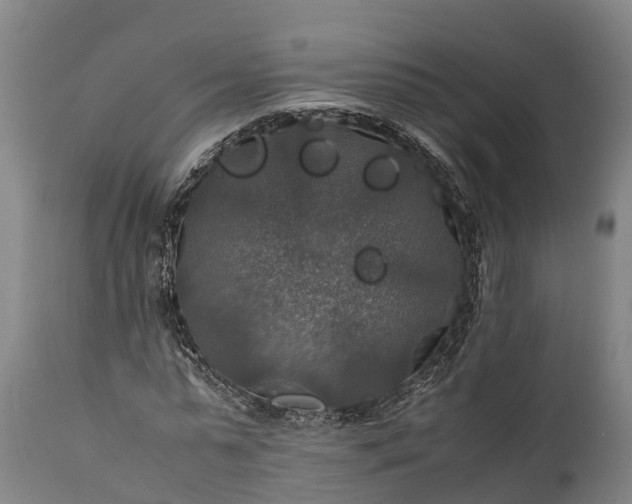 X0000112010775200908171442