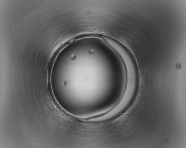 X0000112010781200908171442