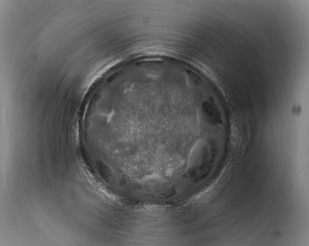 X0000112010782200908171442