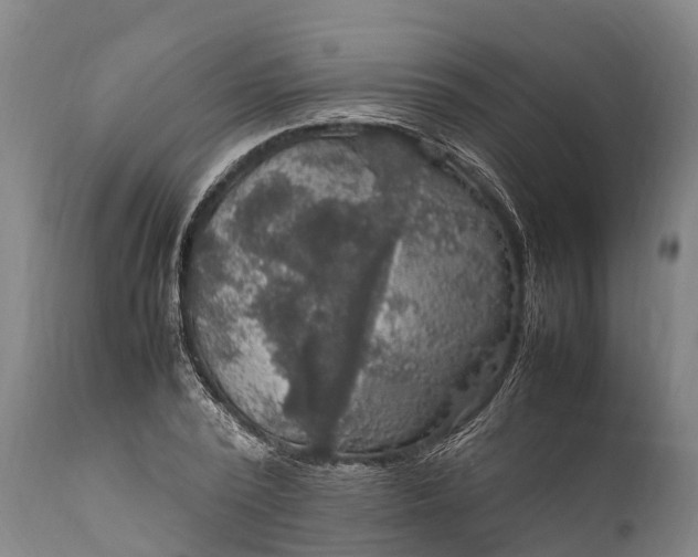 X0000112010784200908171442