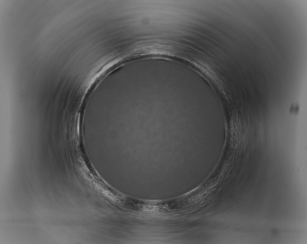 X0000112010790200908171442