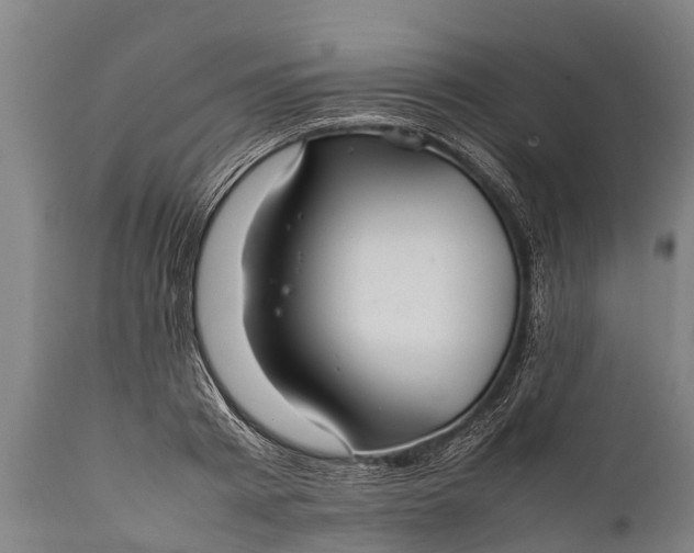 X0000112010793200908171441