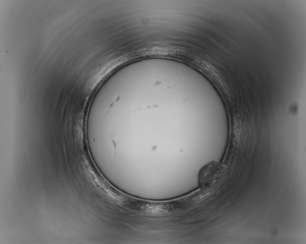 X0000112010794200908171441