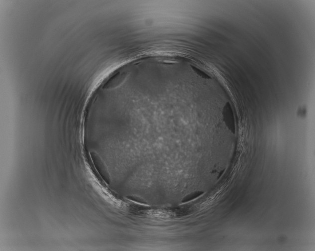 X0000112010795200908171441