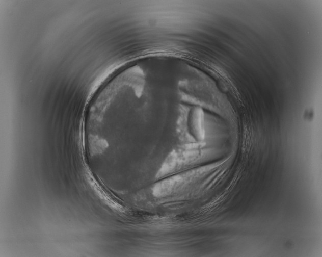 X0000112010796200908171441