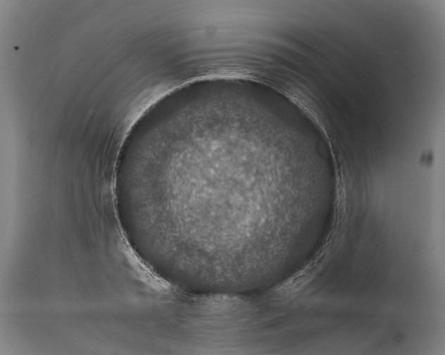 X0000112010797200908171441