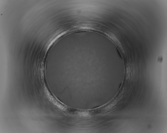 X0000112010798200908171441