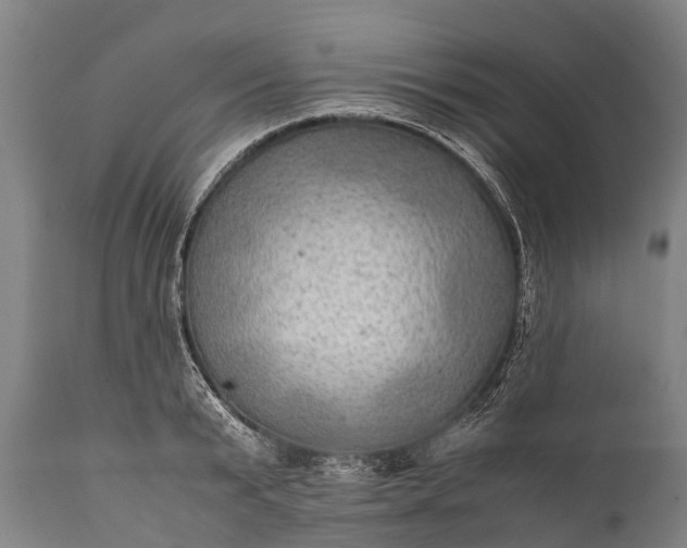 X0000112010799200908171441