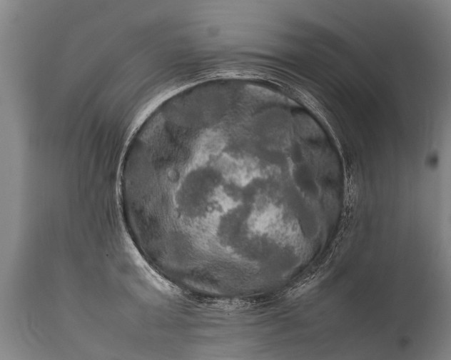 X0000112010803200908171441