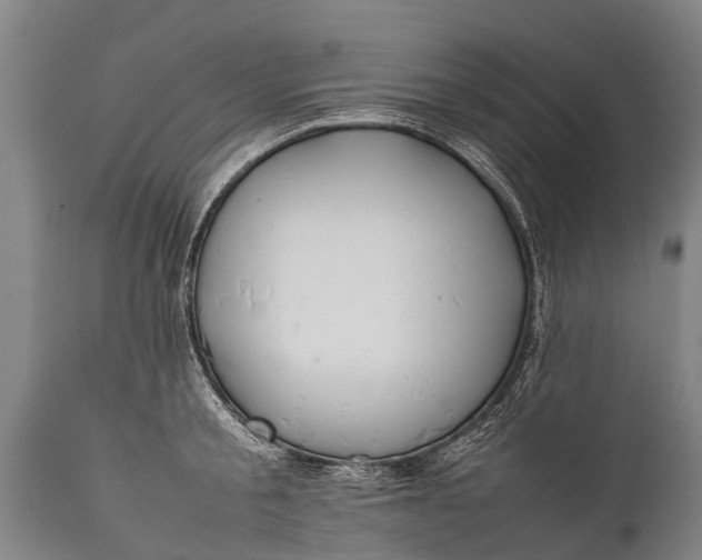 X0000112010805200908171441