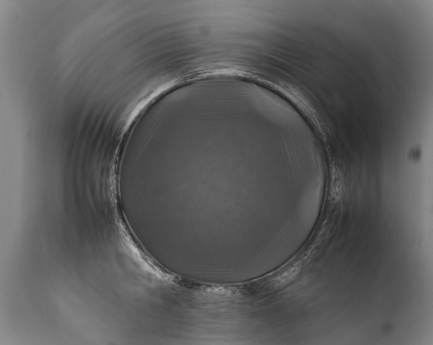 X0000112010806200908171441