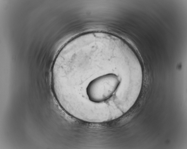 X0000112010807200908171441